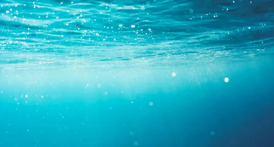 Underwater water - stock footage of serene underwater scenes with clear water and various aquatic life.