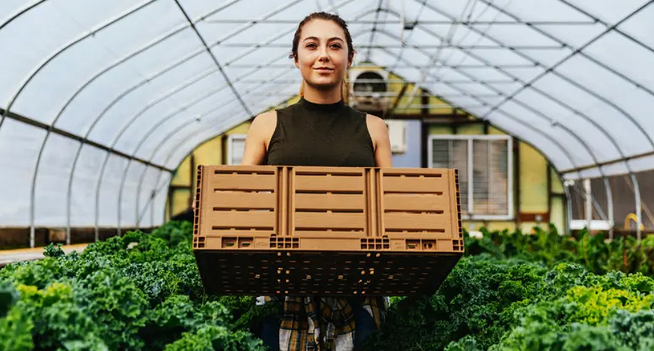 A woman holding a crate of vegetables in a greenhouse, showcasing sustainable farming practices.