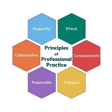 Professional practice chart