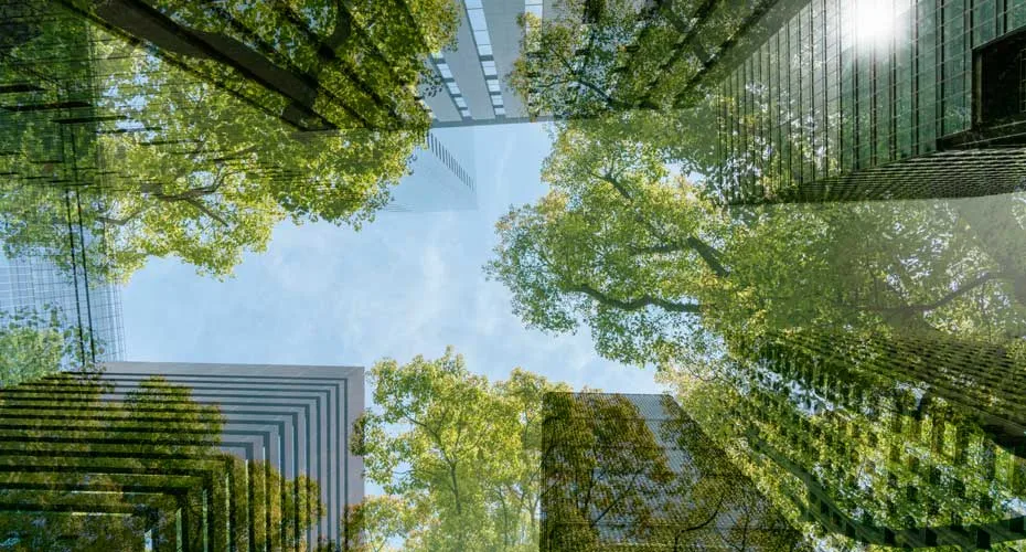 Reflection of trees in a office tower.